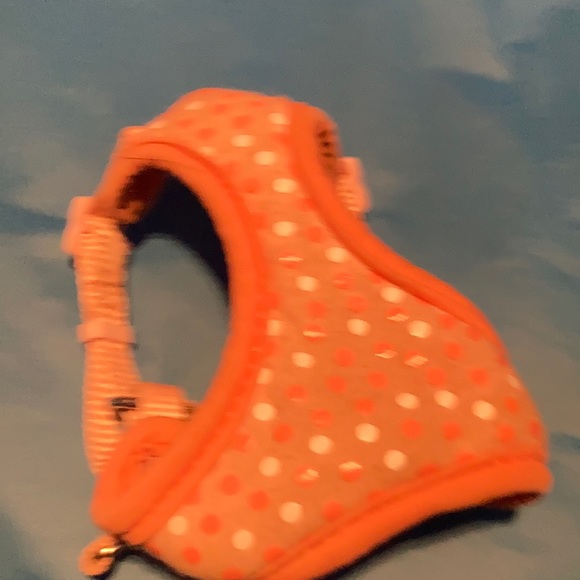 Top paws pet harness - Picture 1 of 4